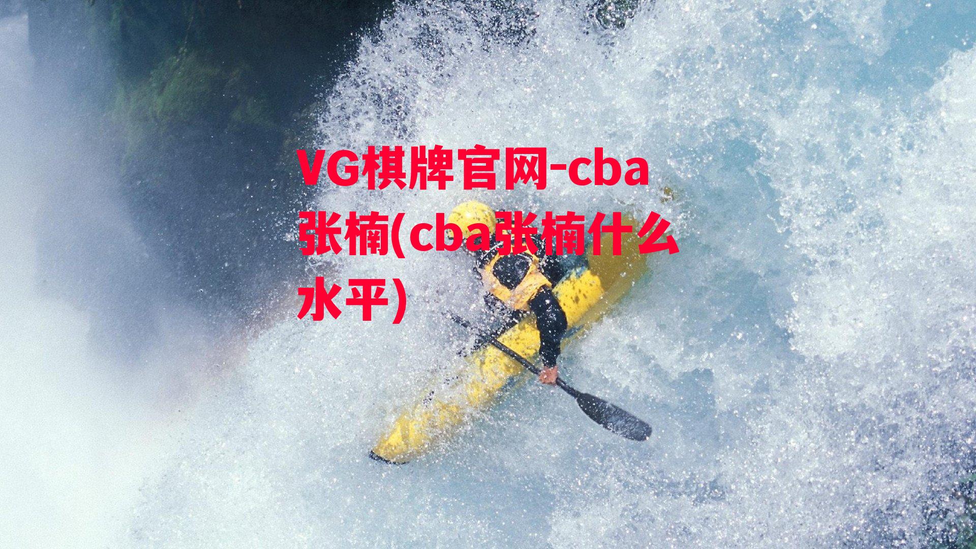 cba张楠(cba张楠什么水平)