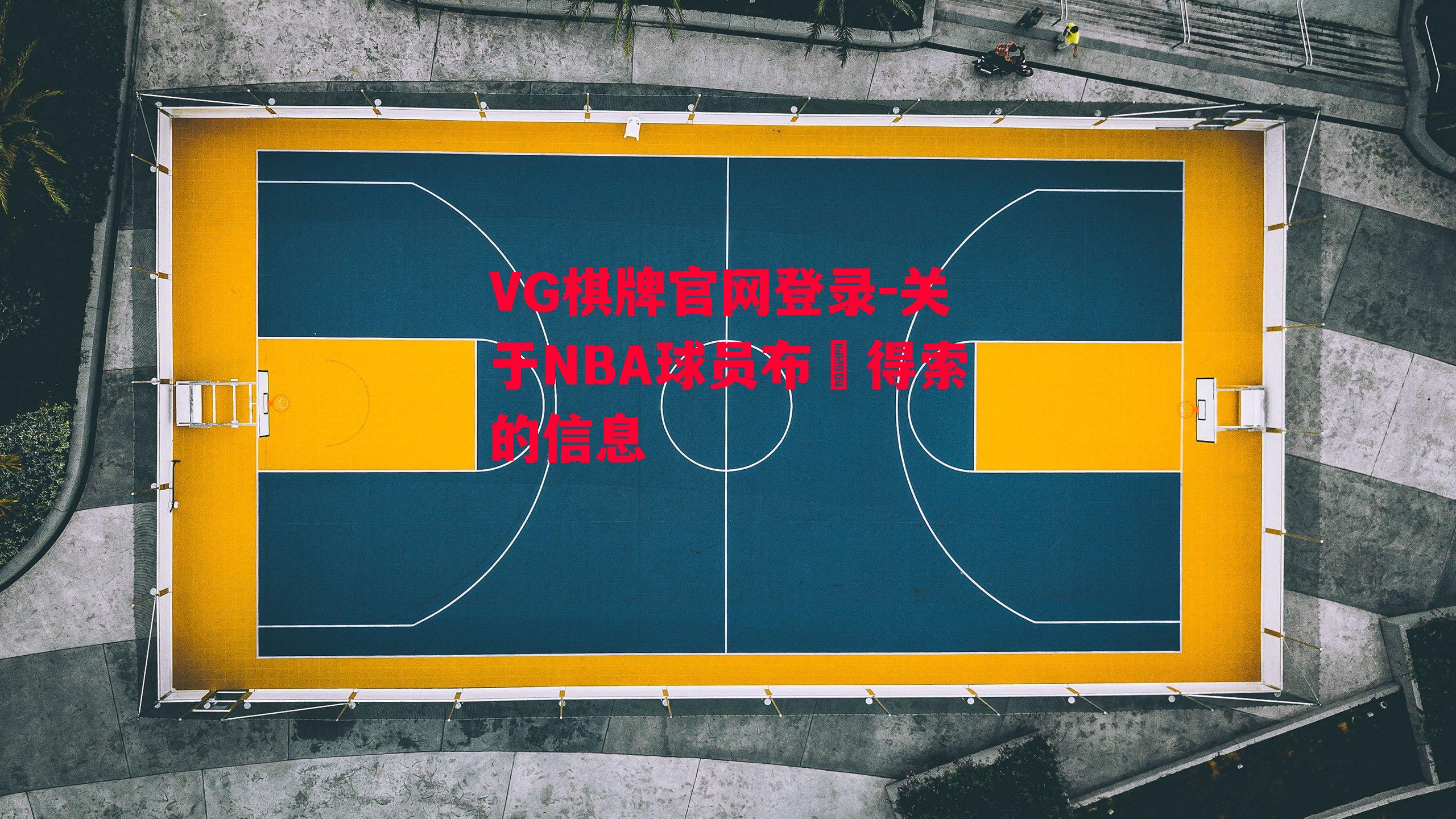 关于NBA球员布萊得索的信息