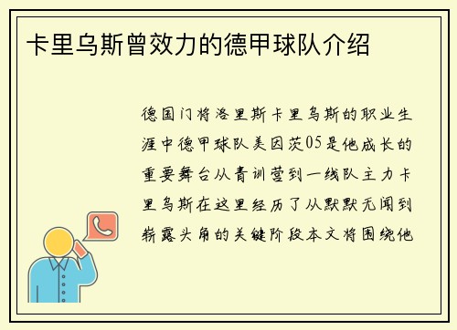 卡里乌斯曾效力的德甲球队介绍
