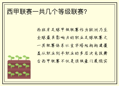 西甲联赛一共几个等级联赛？