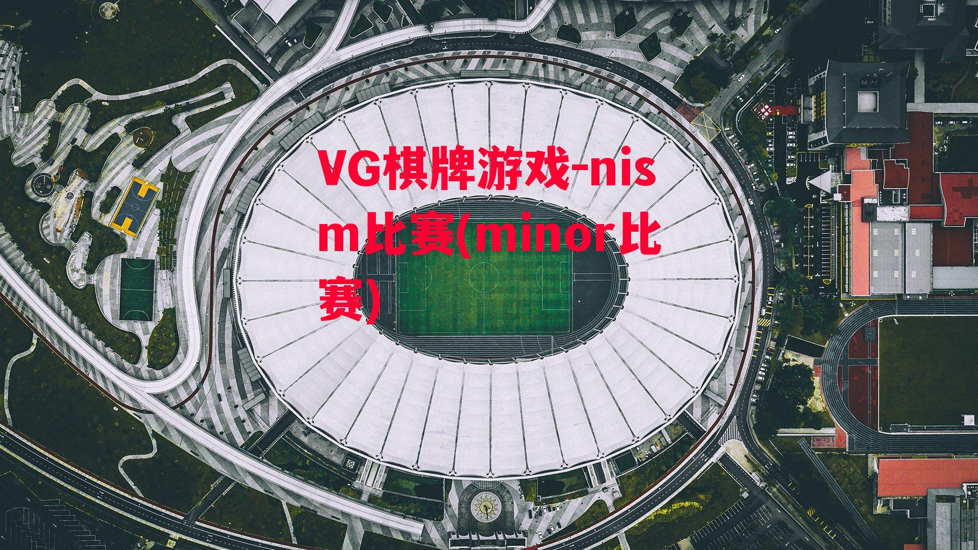 VG棋牌游戏-nism比赛(minor比赛)